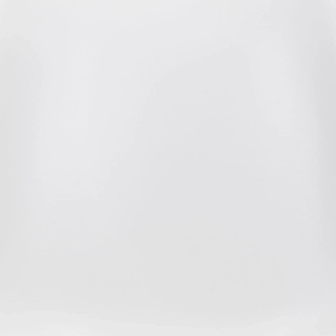 SwayLiving Ace Dining Chair (Set of 2) White & Silver DINING CHAIRS