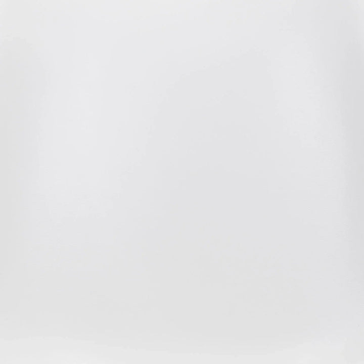 SwayLiving Ace Dining Chair (Set of 2) White & Silver DINING CHAIRS