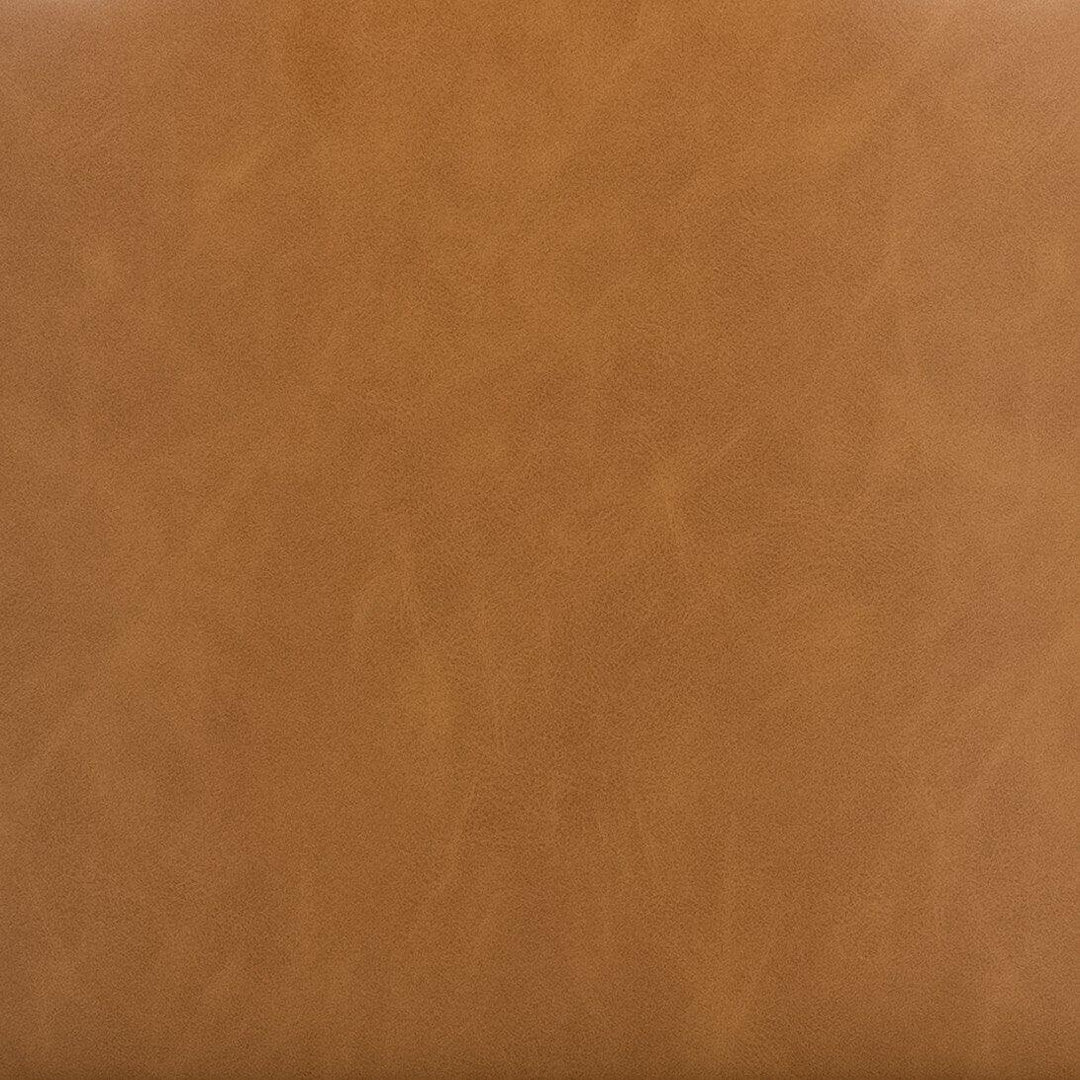 Astrud Dining Chair - SwayLiving