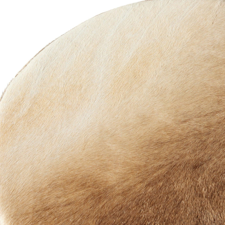 Nocona Bar Counter Stool - SwayLiving