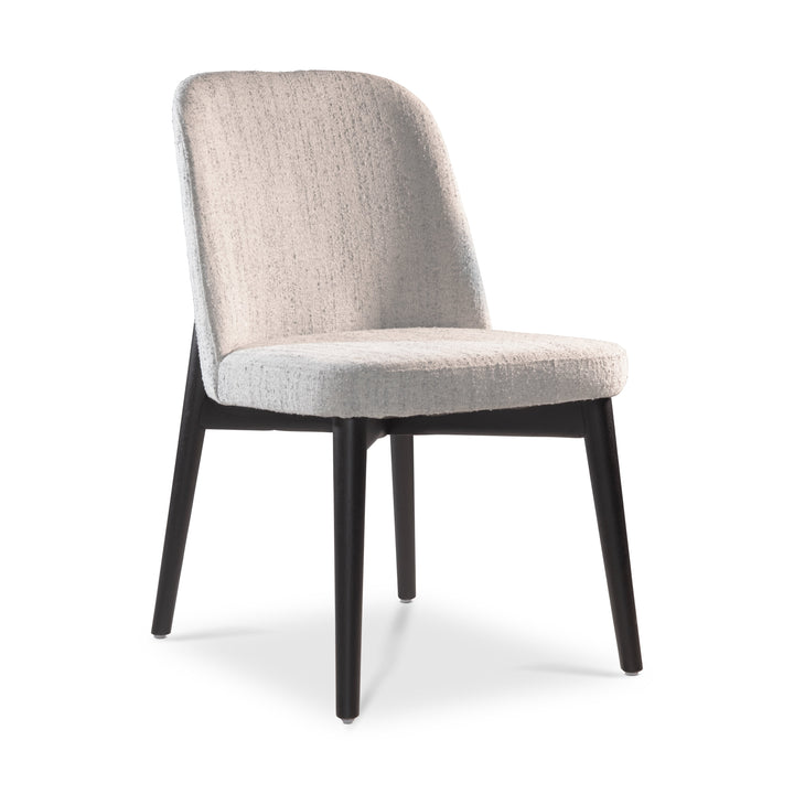 Tonia Dining Chair — silo_2