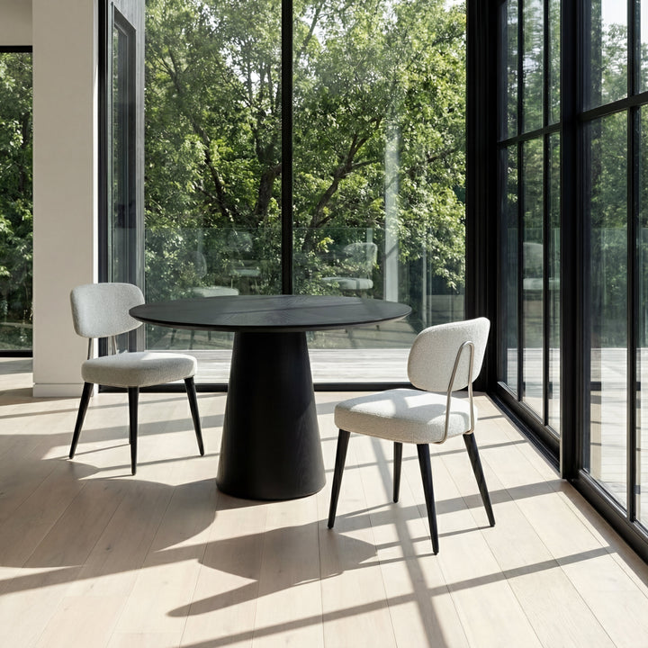 Nice Dining Chair — life_1