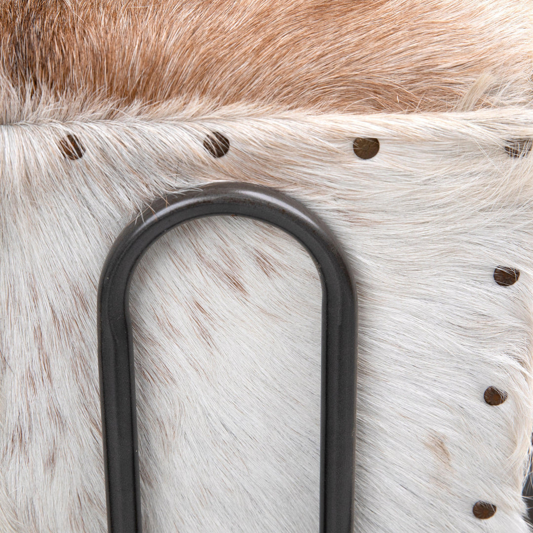 Lacey Occasional Chair - SwayLiving