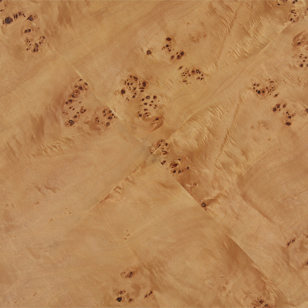 Pauletta Coffee Table Burl — Detail 1