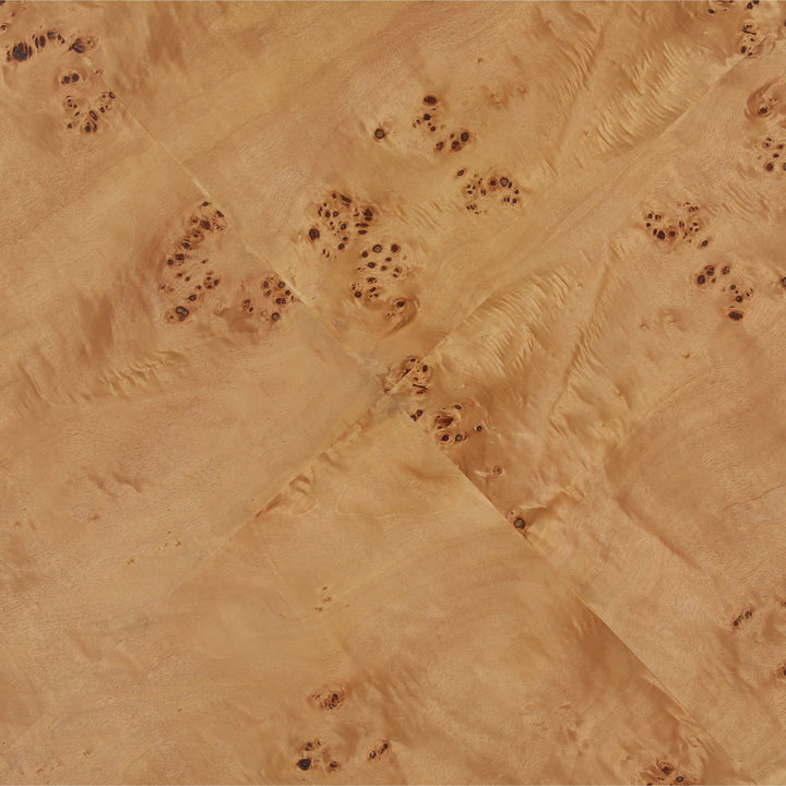 Pauletta Coffee Table Burl — Detail 1