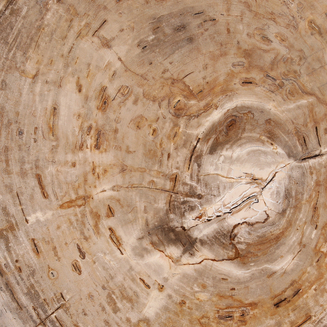 Samson Coffee Table Light Natural Large — Detail 1
