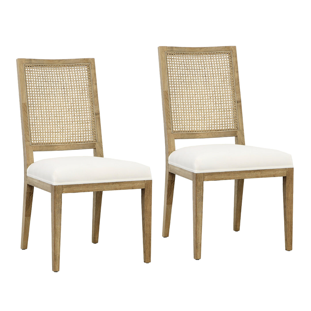 Norwin Dining Chair - Set of 2 - SwayLiving