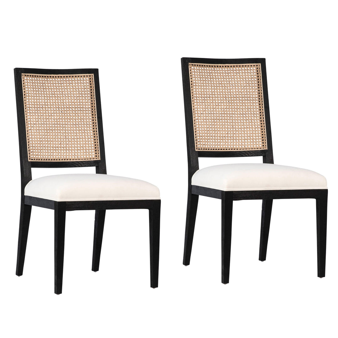 Norwin Dining Chair - Set of 2 - SwayLiving