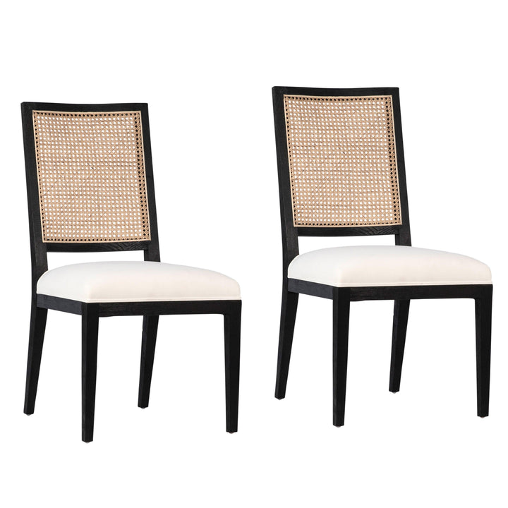 Norwin Dining Chair - Set of 2 - SwayLiving