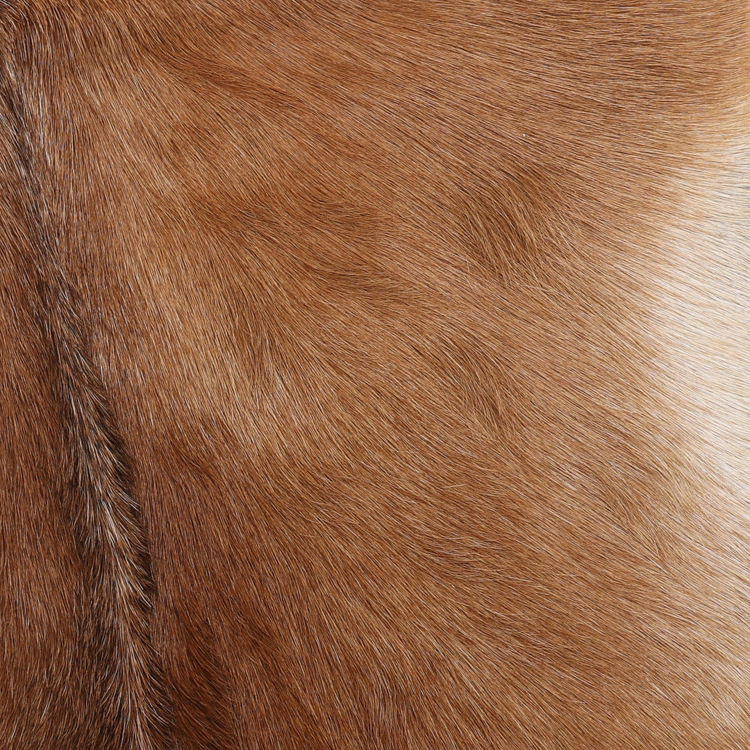 Dunbarr Occasional Chair Brown — Detail 1