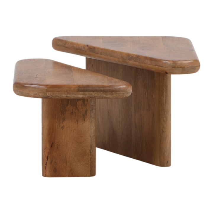 Sasha Coffee Table Set of 2 Brown - SwayLiving