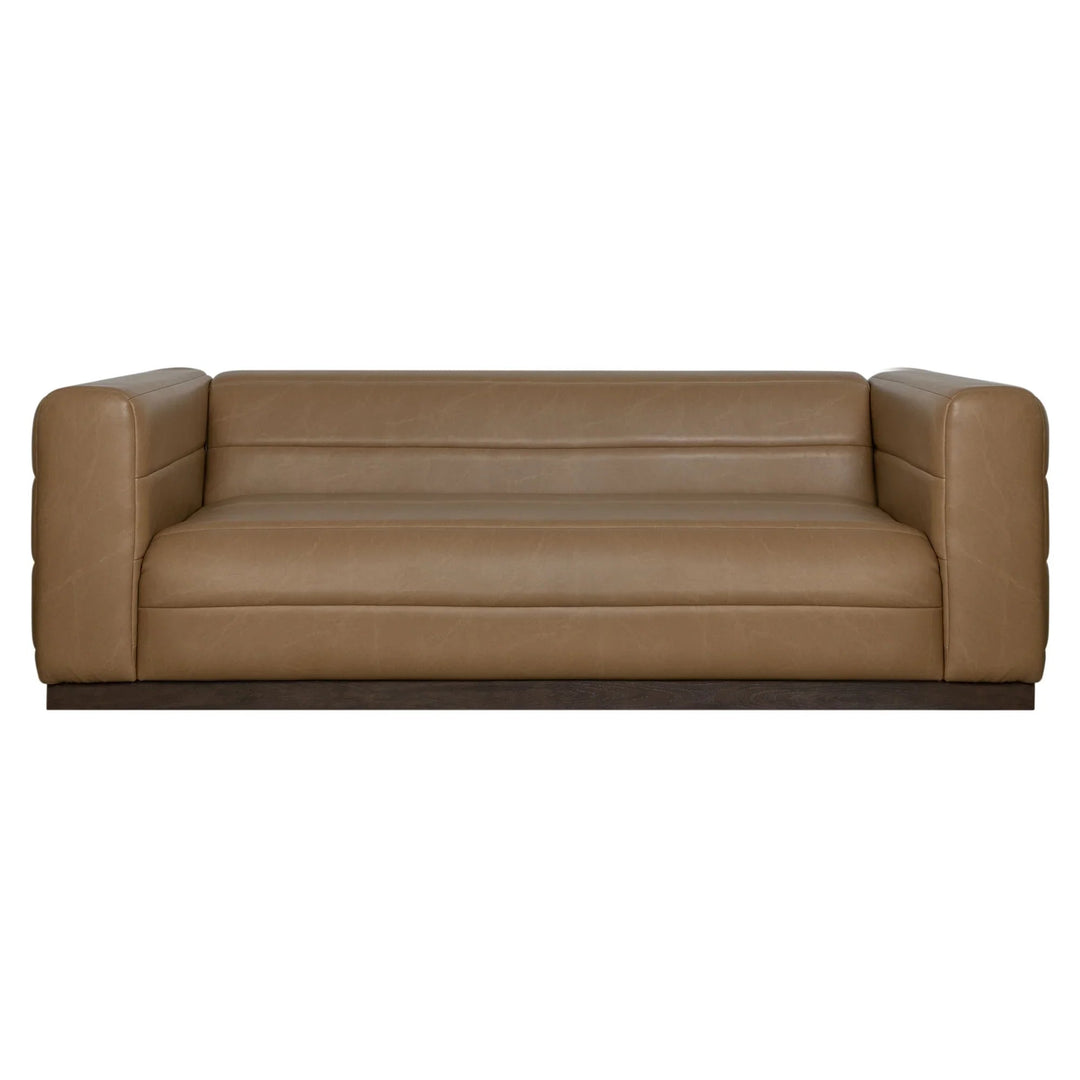 Bistre Brown-Dark Chestnut Brown