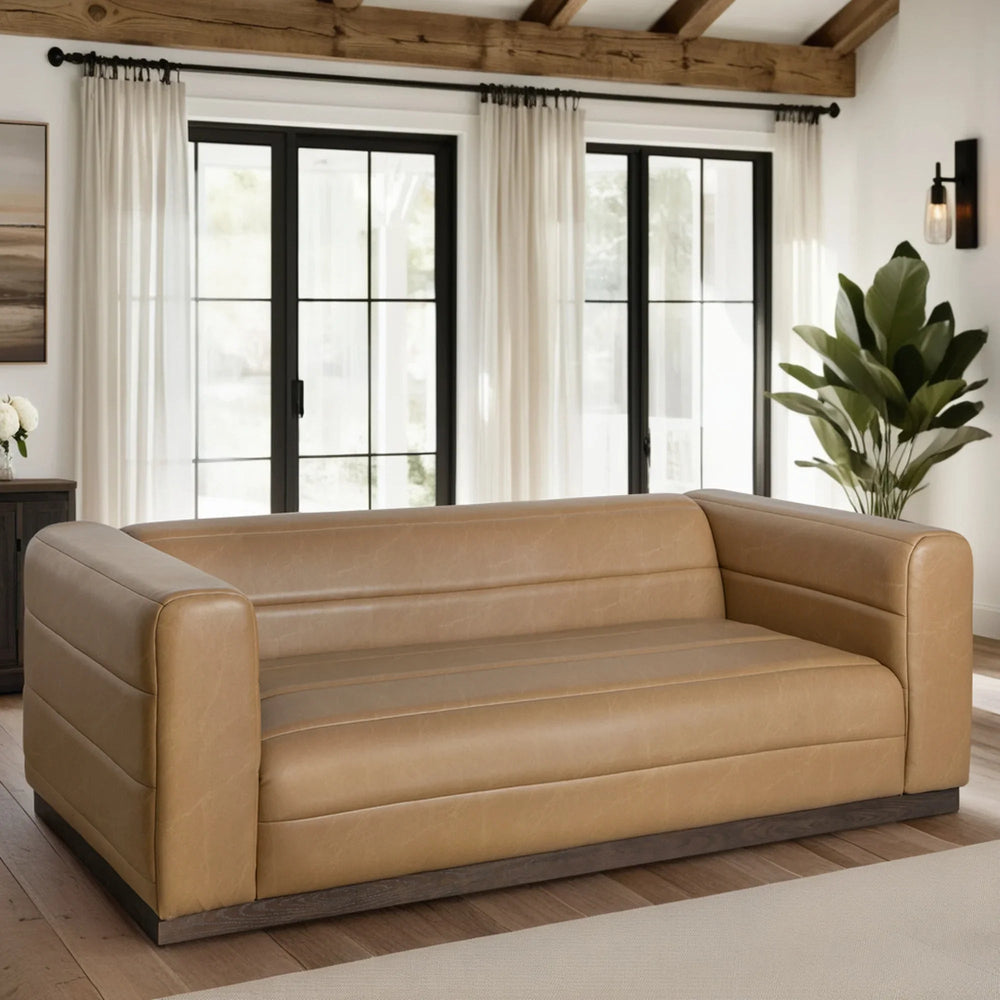 Bistre Brown-Dark Chestnut Brown