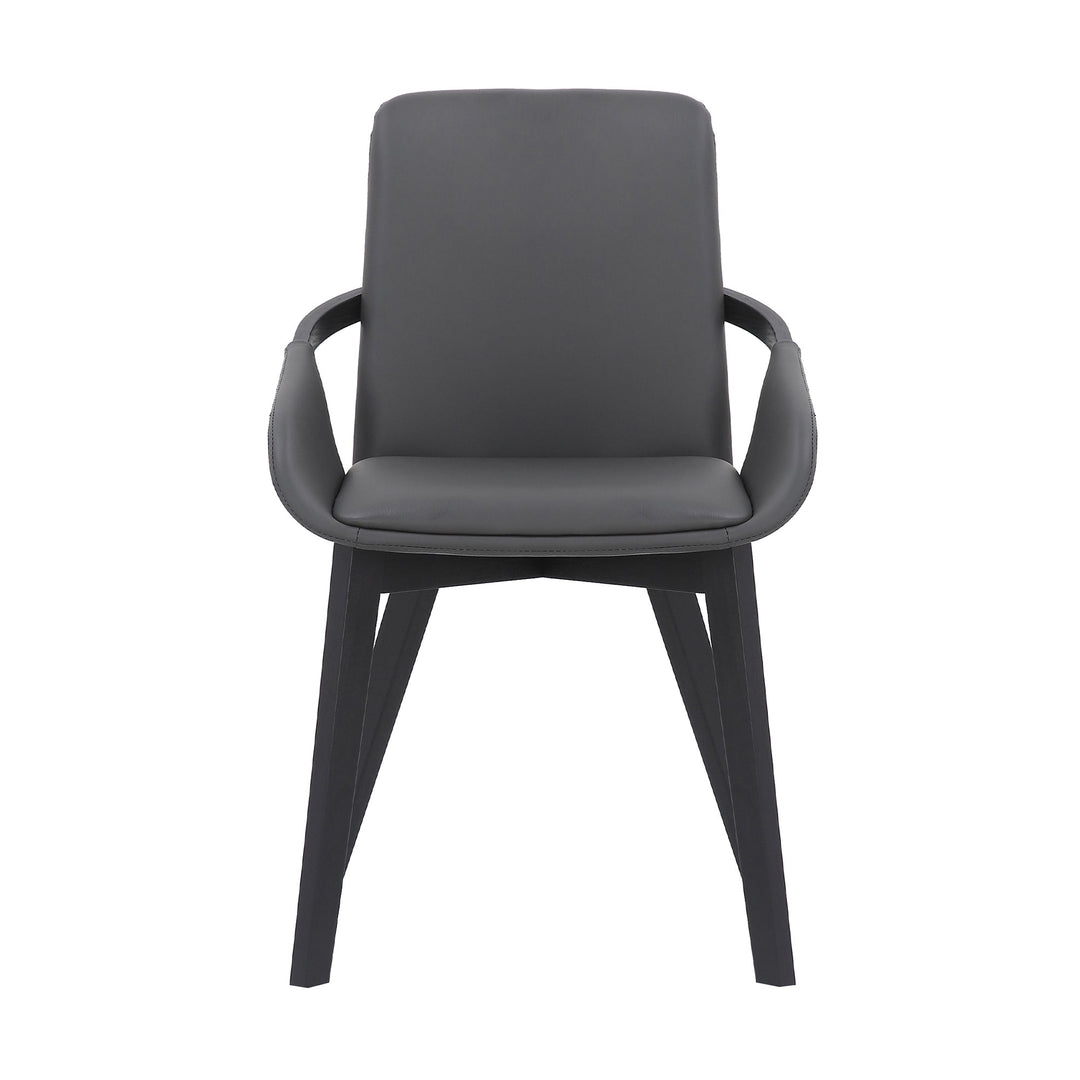 SwayLiving SwayLiving Greisen Dining Chair Set of 2