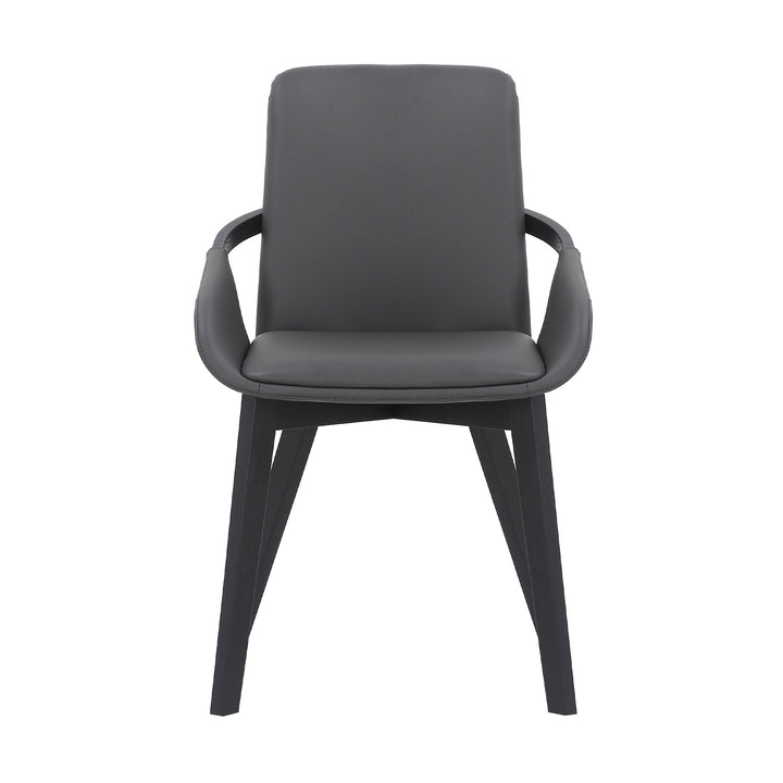 SwayLiving SwayLiving Greisen Dining Chair Set of 2