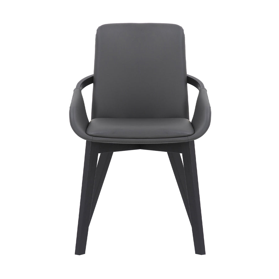 SwayLiving SwayLiving Greisen Dining Chair Set of 2