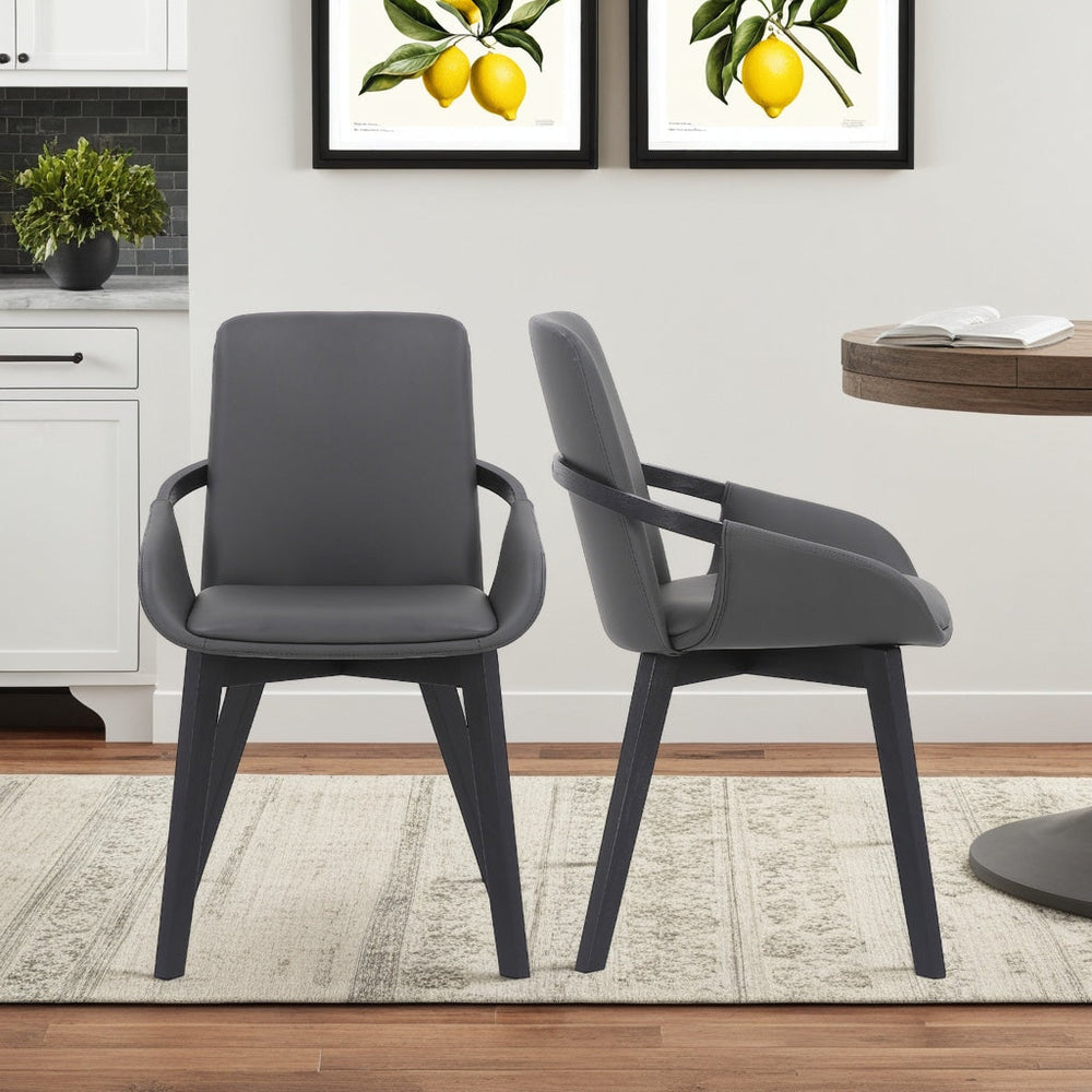 SwayLiving SwayLiving Greisen Dining Chair Set of 2