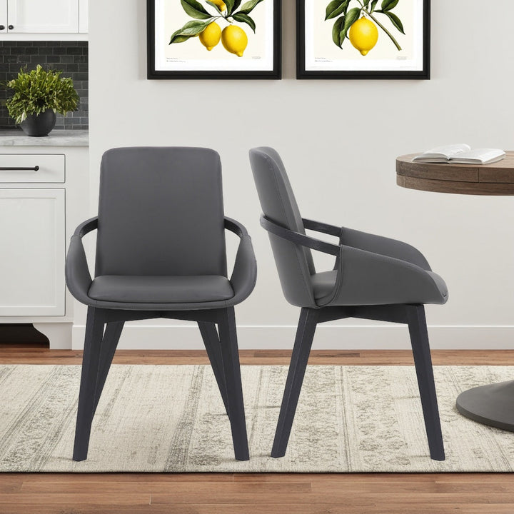 SwayLiving SwayLiving Greisen Dining Chair Set of 2