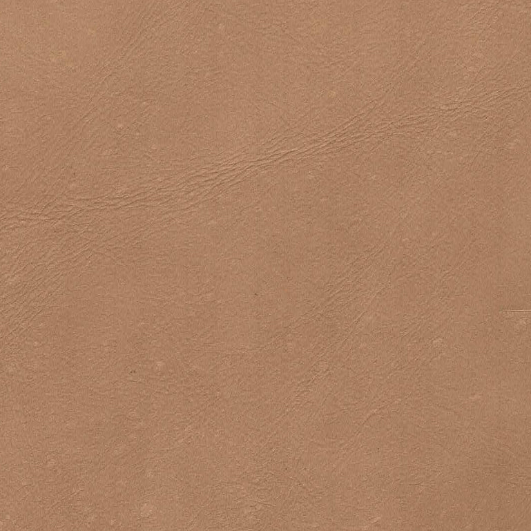 Milo Dining Chair - Nude (TH)