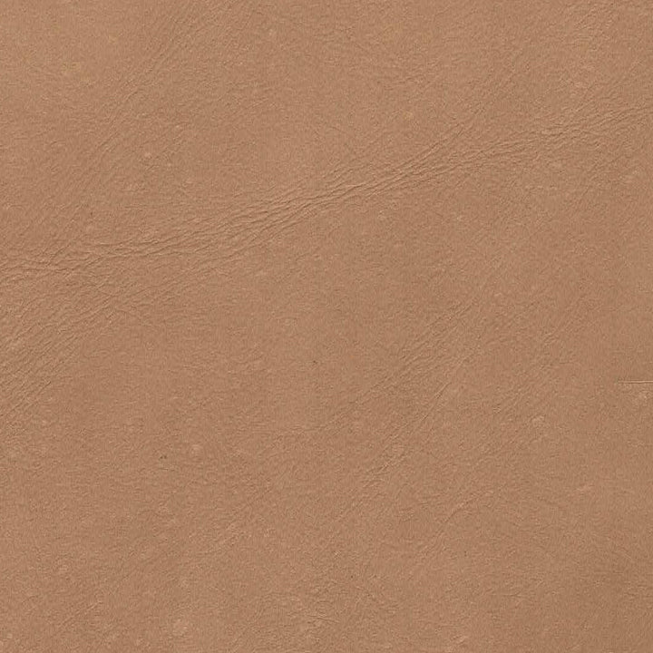 Milo Dining Chair - Nude (TH)