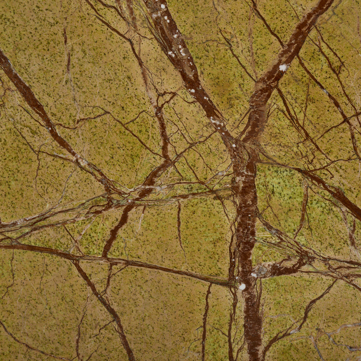Brown / Green
