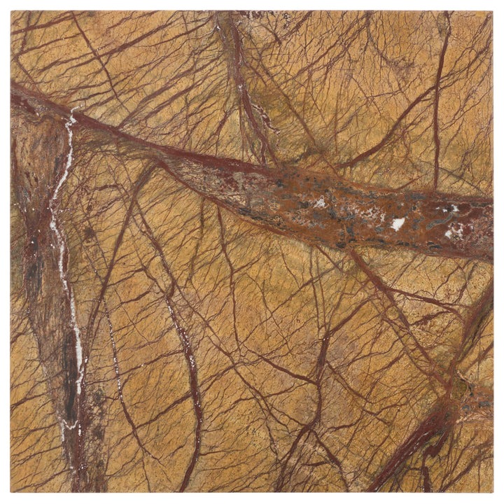 Brown / Beige