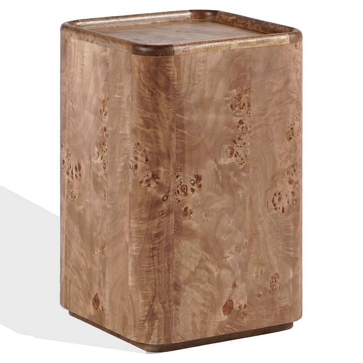 SwayLiving Torryn Burl Accent Table