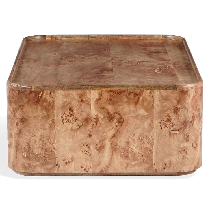 SwayLiving Torryn Burl Coffee Table