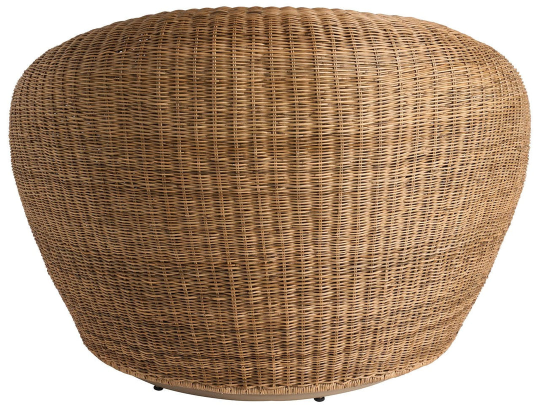 Sea Pod Swivel Chair