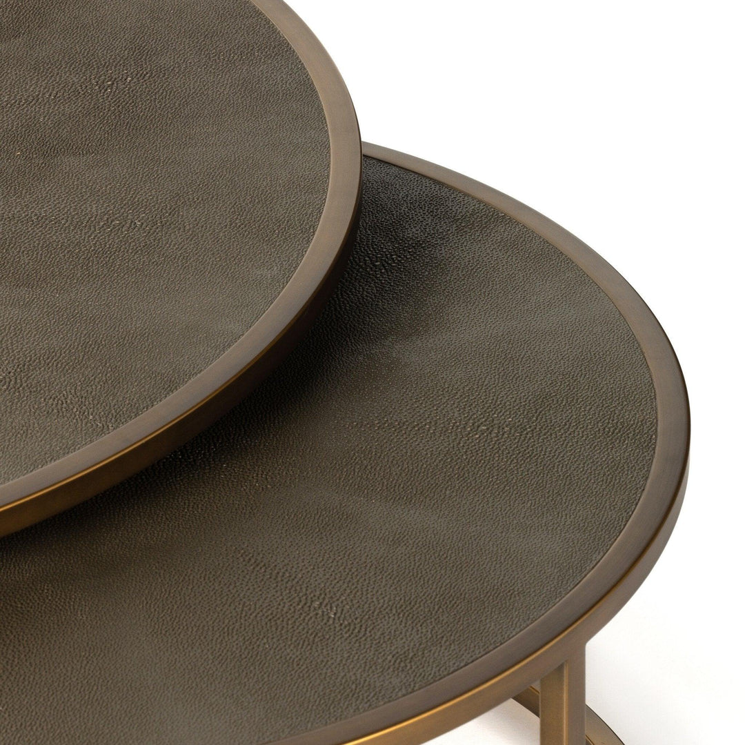 Shagreen Nesting Coffee Table - SwayLiving