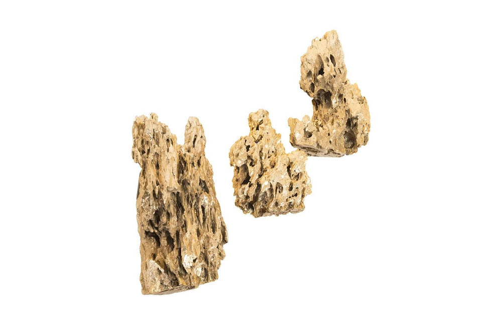 SwayLiving Stalagmite Wall Art Plated Brass, Set of 3,  Assorted Size and Shape WALL ACCENTS