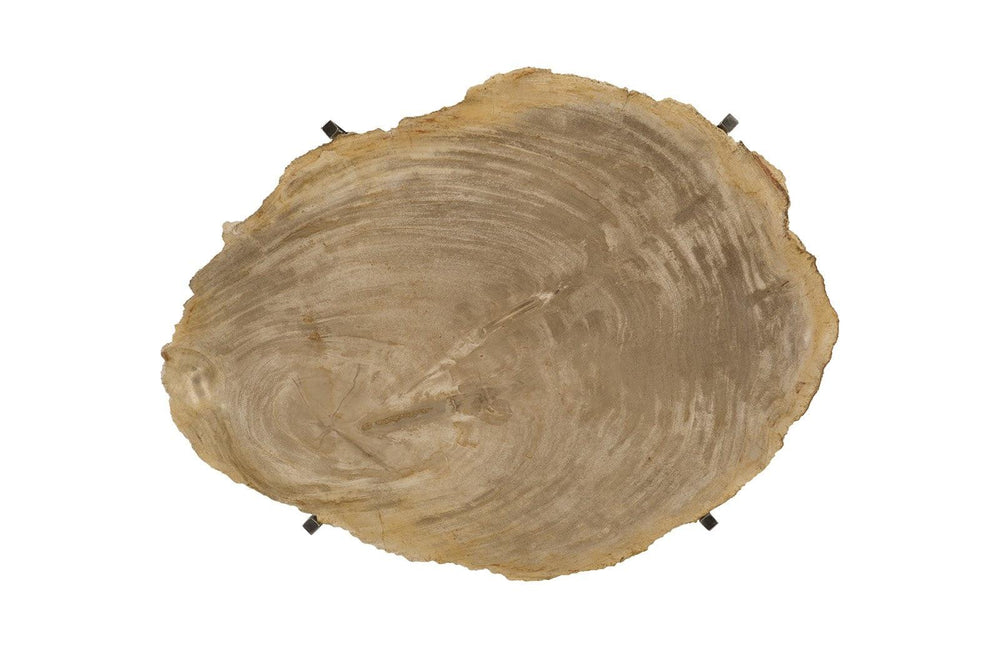 SwayLiving Petrified Wood Tray, Stainless Steel Base, Assorted Styles and Sizes DECORATIVE TRAYS, PLATES, + BOWLS