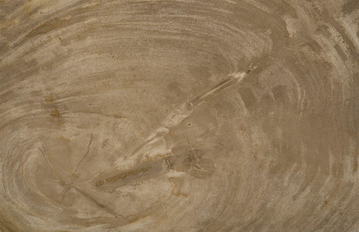 SwayLiving Petrified Wood Tray, Stainless Steel Base, Assorted Styles and Sizes DECORATIVE TRAYS, PLATES, + BOWLS