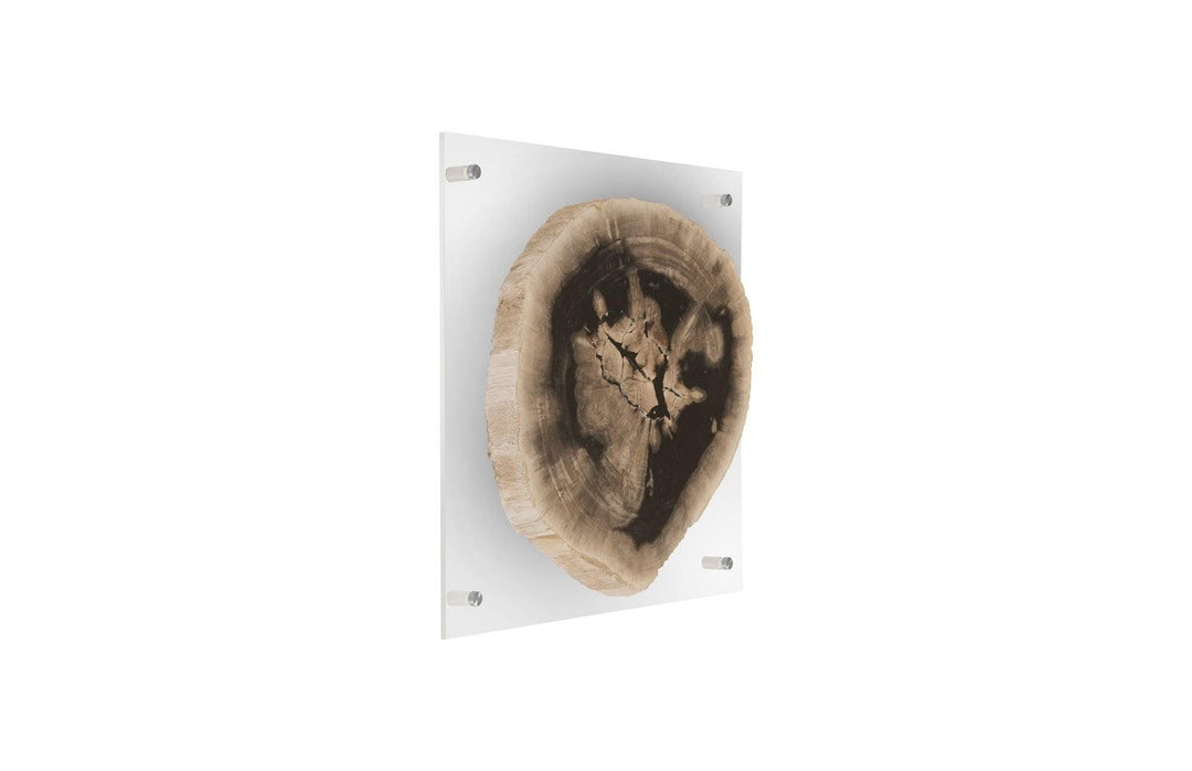 SwayLiving Floating Petrified Slice Wall Art, Assorted WALL ACCENTS