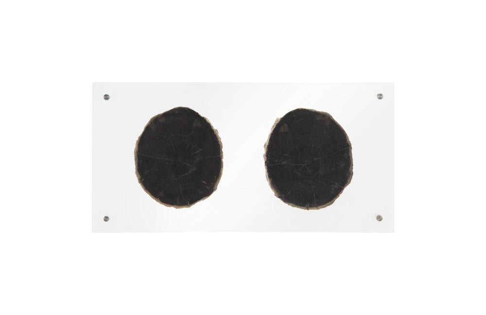 SwayLiving Floating Petrified Double Slice Wall Art WALL ACCENTS