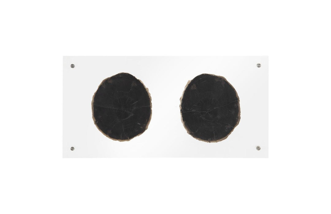 SwayLiving Floating Petrified Double Slice Wall Art WALL ACCENTS