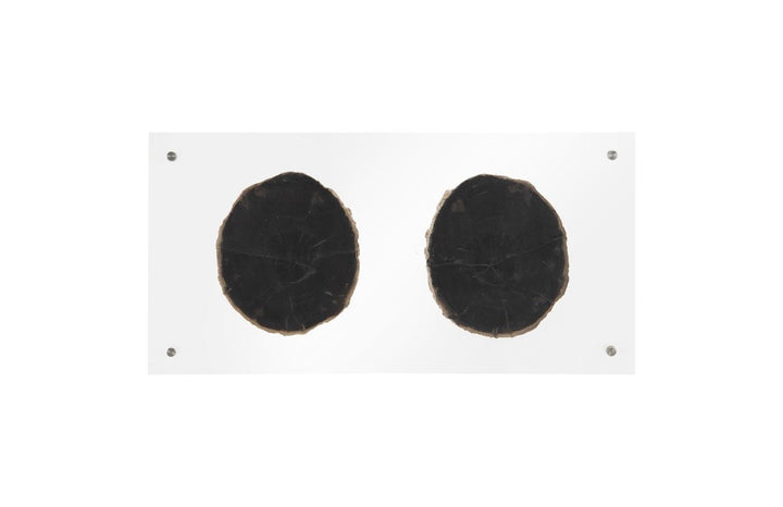 SwayLiving Floating Petrified Double Slice Wall Art WALL ACCENTS