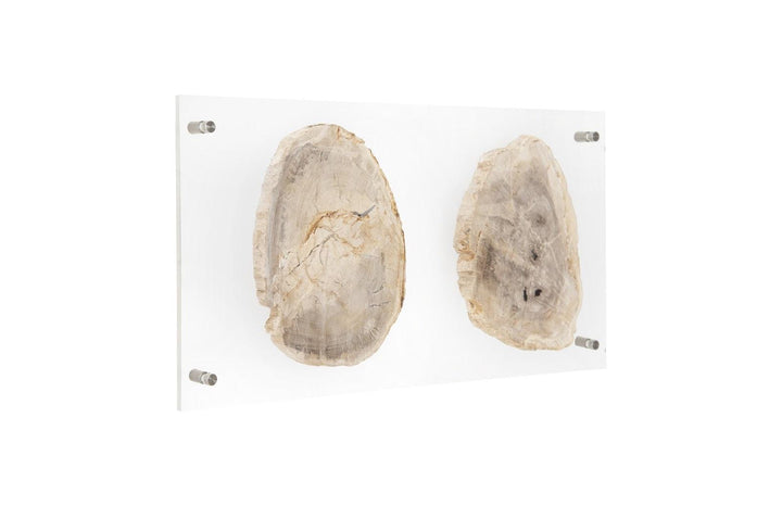 SwayLiving Floating Petrified Double Slice Wall Art WALL ACCENTS