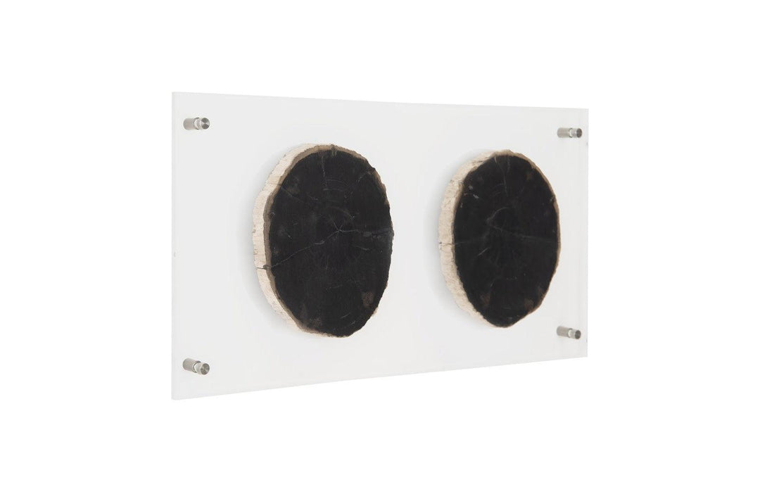 SwayLiving Floating Petrified Double Slice Wall Art WALL ACCENTS
