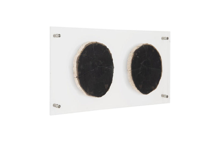 SwayLiving Floating Petrified Double Slice Wall Art WALL ACCENTS