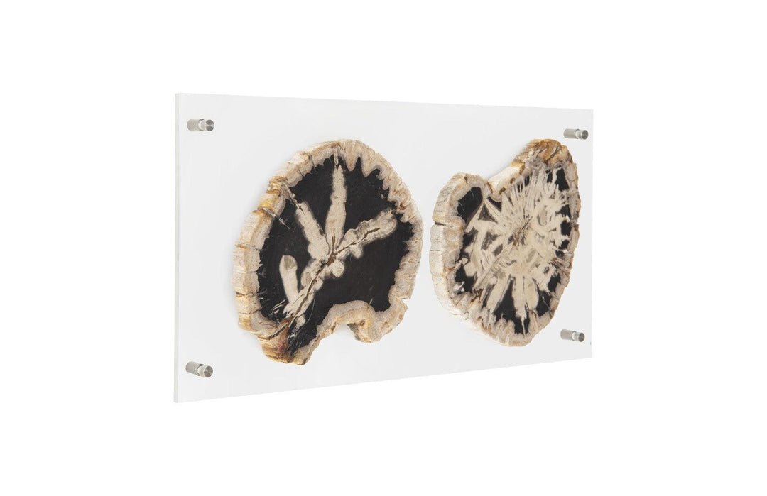 SwayLiving Floating Petrified Double Slice Wall Art WALL ACCENTS