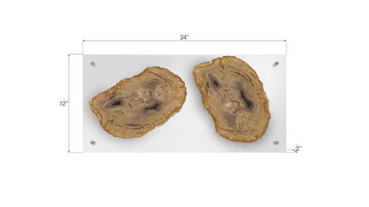 SwayLiving Floating Petrified Double Slice Wall Art WALL ACCENTS