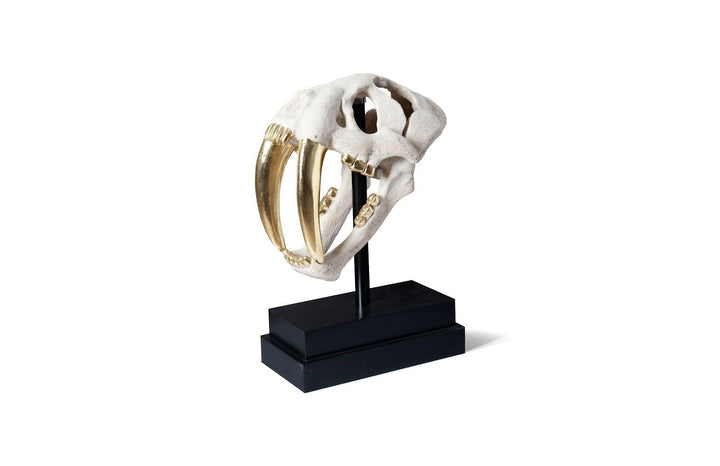 SwayLiving Saber Tooth Tiger Skull, Roman Stone DECORATIVE OBJECTS