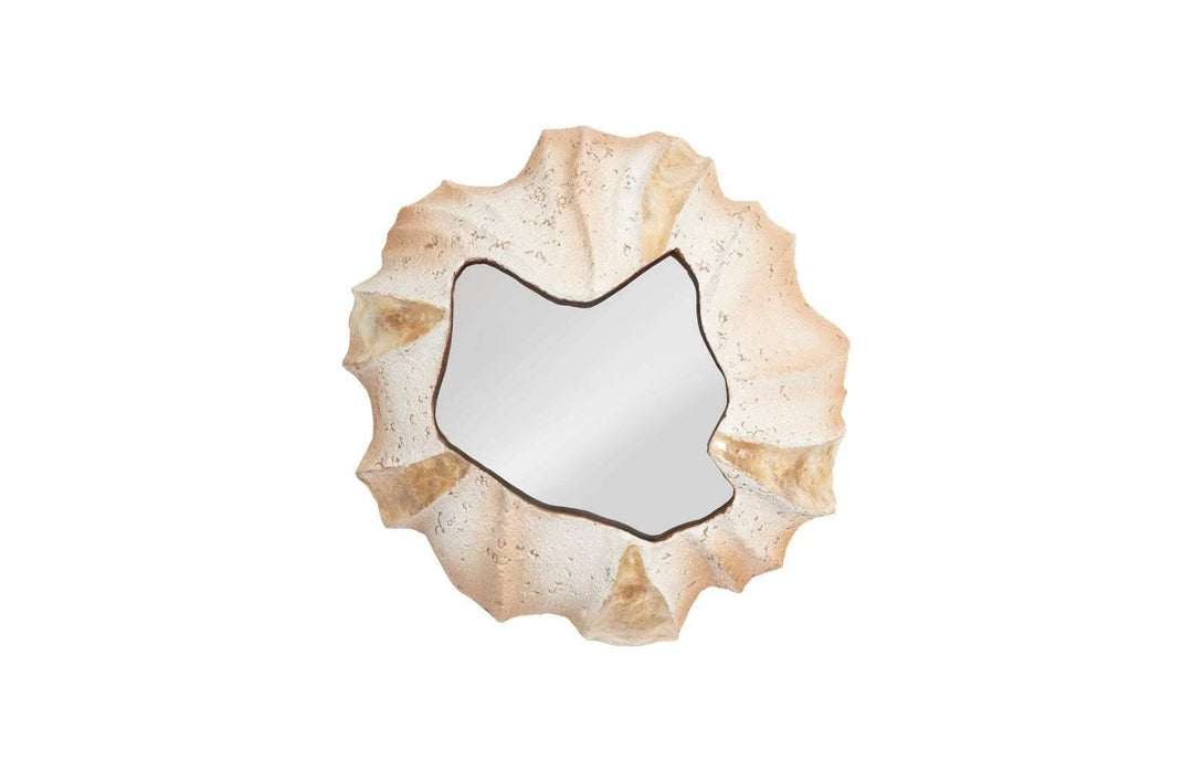 SwayLiving Barnacle Wall Art WALL MIRRORS