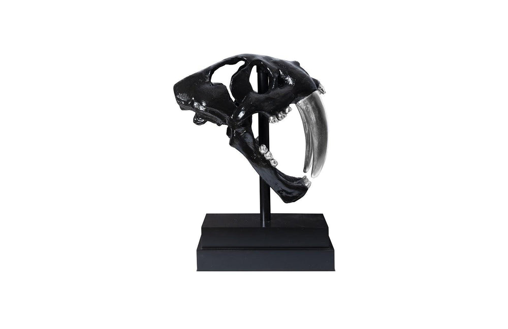 SwayLiving Saber Tooth Tiger Skull, Black DECORATIVE OBJECTS