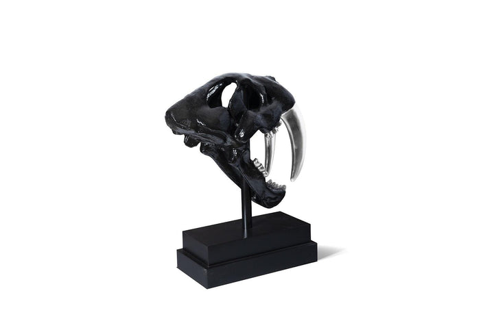 SwayLiving Saber Tooth Tiger Skull, Black DECORATIVE OBJECTS
