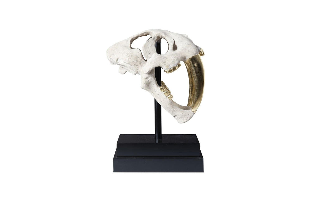 SwayLiving Saber Tooth Tiger Skull, Roman Stone DECORATIVE OBJECTS