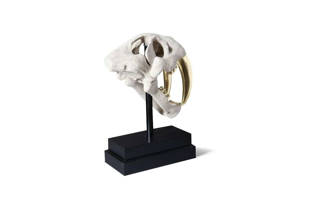 SwayLiving Saber Tooth Tiger Skull, Roman Stone DECORATIVE OBJECTS