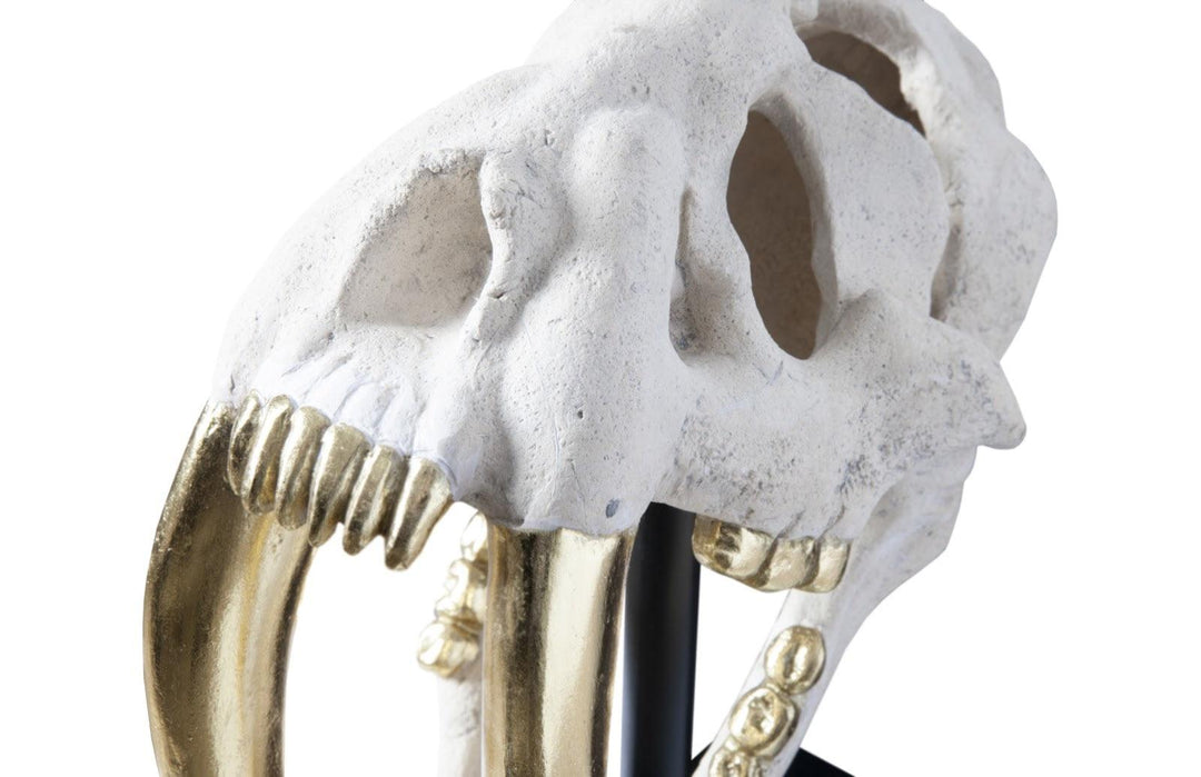 SwayLiving Saber Tooth Tiger Skull, Roman Stone DECORATIVE OBJECTS