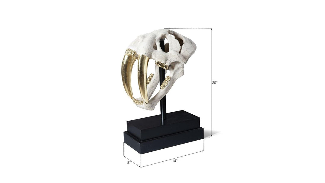 SwayLiving Saber Tooth Tiger Skull, Roman Stone DECORATIVE OBJECTS